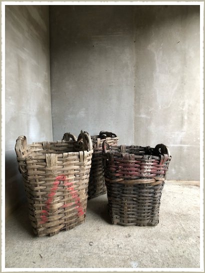 basket reed woven