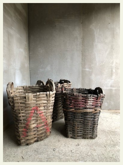 basket reed woven