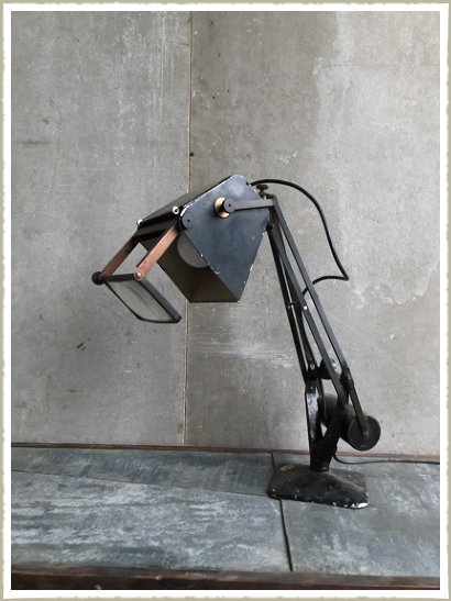 Hadrill Horstmann Pluslite lamp magnifying